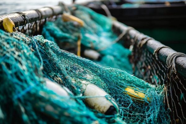 encouraging-use-sustainable-fishing-gear-generative-ai_1169651-143436